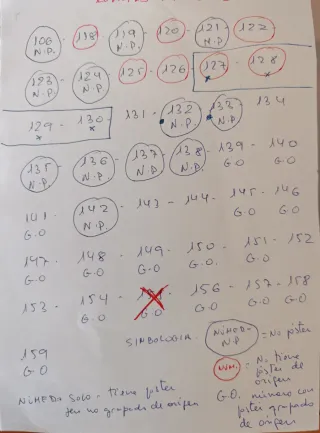 Lote Revistas Nintendo Acción