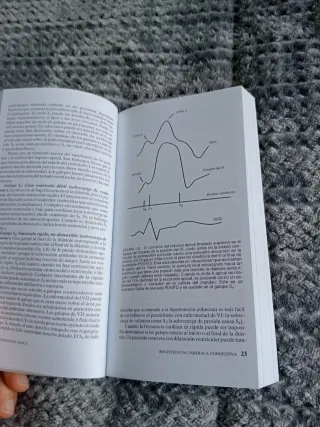 Cardiología básica