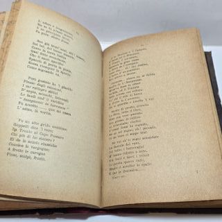 Libro RISORGIMENTO Ottolini Compagnia Medici 1884