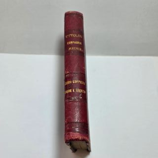 Libro RISORGIMENTO Ottolini Compagnia Medici 1884