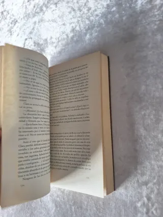 EL DESVAN (Spanish Edition)