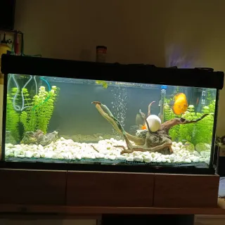 Acuario con lámparas y filtro