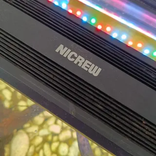 Acuario con lámparas y filtro