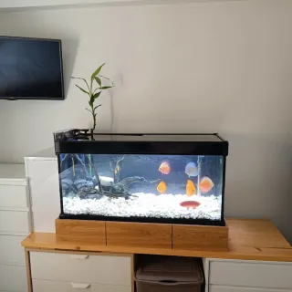 Acuario con lámparas y filtro