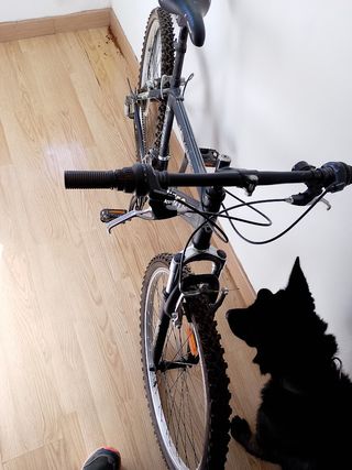 Bicicleta Montaña 25