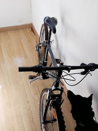 Bicicleta Montaña 25