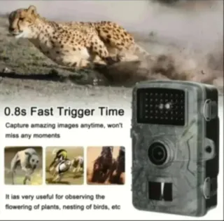 2 Cámaras de Caza Fototrampeo 32GB