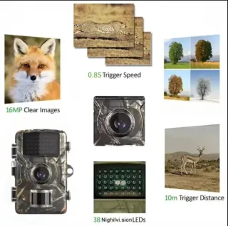 2 Cámaras de Caza Fototrampeo 32GB