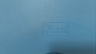 Pecera para peces o animales acuáticos terranio