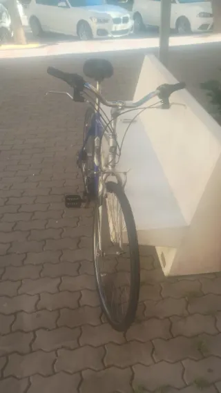 Bicicleta de paseo azul