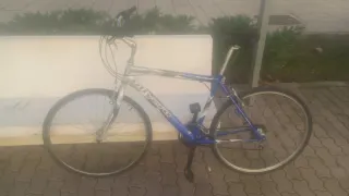 Bicicleta de paseo azul