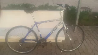 Bicicleta de paseo azul