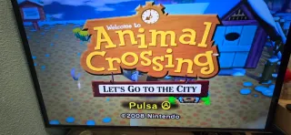 Animal Crossing Wii: Let's Go to the City