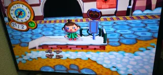 Animal Crossing Wii: Let's Go to the City