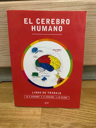 El cerebro humano. Libro de trabajo