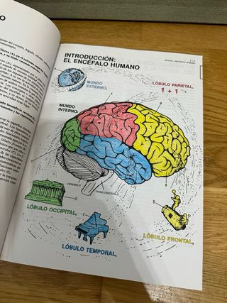 El cerebro humano. Libro de trabajo