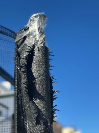 Colchoneta saltar infantil con red