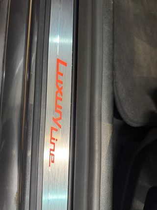 BMW Serie 5 LUXURY  2019