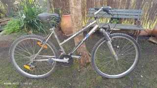 Bicicleta Silver Star Top Bike