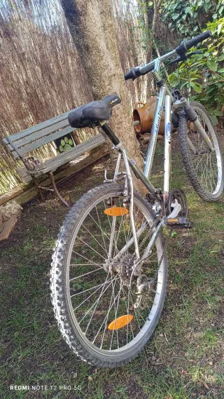 Bicicleta Silver Star Top Bike