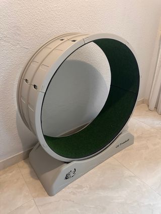 Rueda de Correr para Gatos Silenciosa