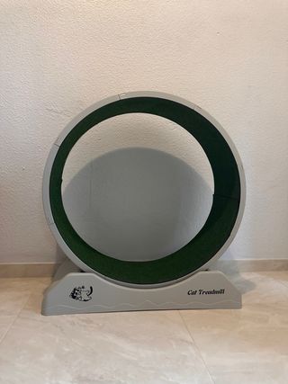 Rueda de Correr para Gatos Silenciosa