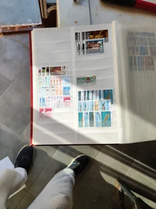 Riferimento Francobolli 311