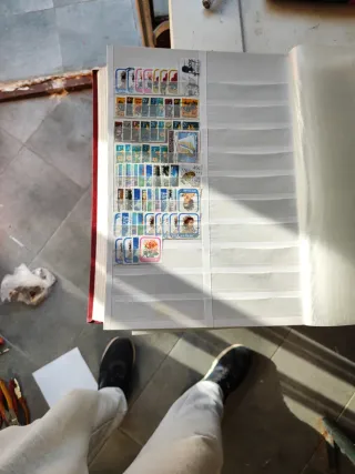 Riferimento Francobolli 311