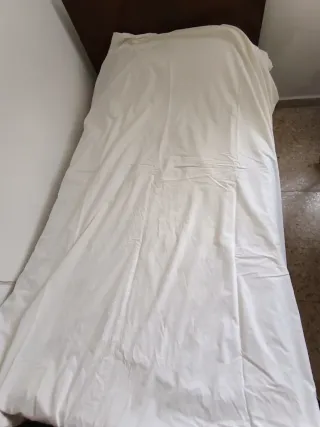 Funda nórdica individual y tres fundas de almohada