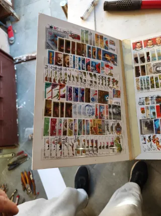 Riferimento francobolli 313