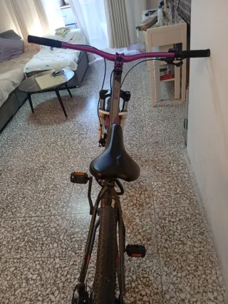 Bicicleta Rockrider Stunt Modificada