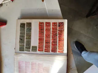 Francobolli riferimento 312