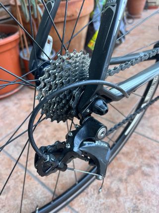 Bicicleta Scott Carbono Carretera