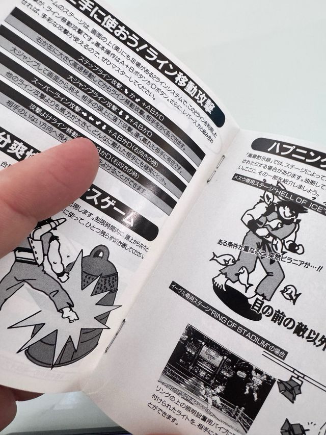 Savage Reign Fuun SNK Neo Geo AES NeoGeo NG Jap