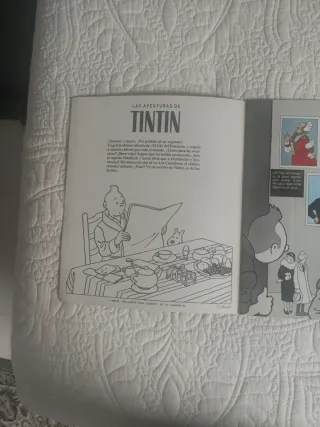 Álbum cromos Tintín Panini COMPLETO