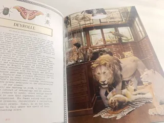 Libro Timeless Paris. Marin Montagut