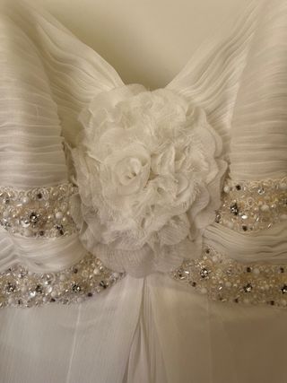 Vestido de Novia Pronovias 2010