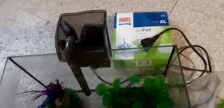 Acquario con set temperatura e filtraggio
