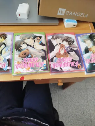 Junjo Romantica 1