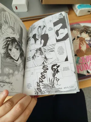 Junjo Romantica 1