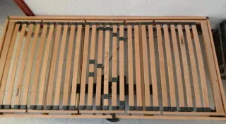 Cama eléctrica motorizada. Nuevas