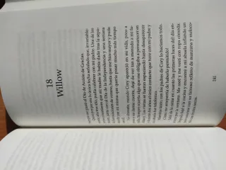 Lo que la nieve susurra al caer