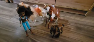 Muñeca y caballos de juguete