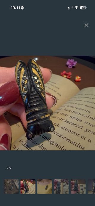 Coppia di spille antiche, come in foto