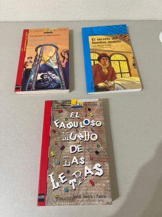 Lote 15 libros variados – Clásicos, juvenil