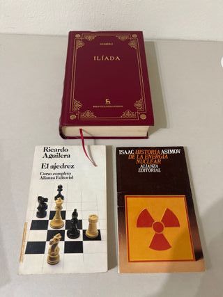 Lote 15 libros variados – Clásicos, juvenil