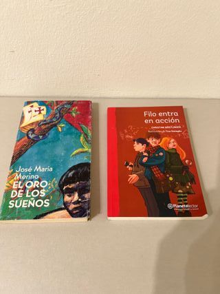 Lote 15 libros variados – Clásicos, juvenil