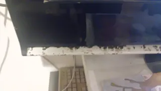 TV Samsung Plasma 50 Negra