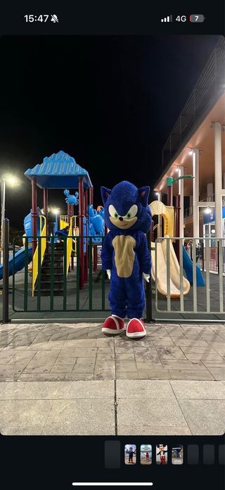 Disfraz Sonic alquiler