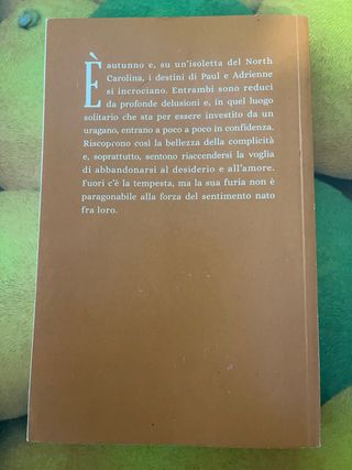 Libro Come un uragano